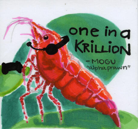 KRILLION